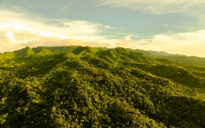 Natural hydrogen: The New Deal for a sustainable planet